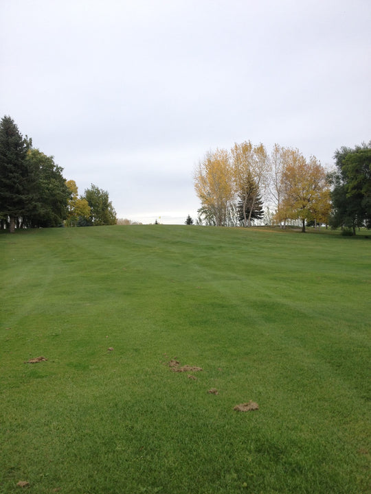 Cartwright Golf Course 2024